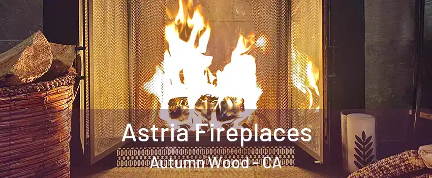 Astria Fireplaces Autumn Wood - CA