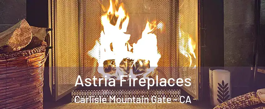 Astria Fireplaces Carlisle Mountain Gate - CA
