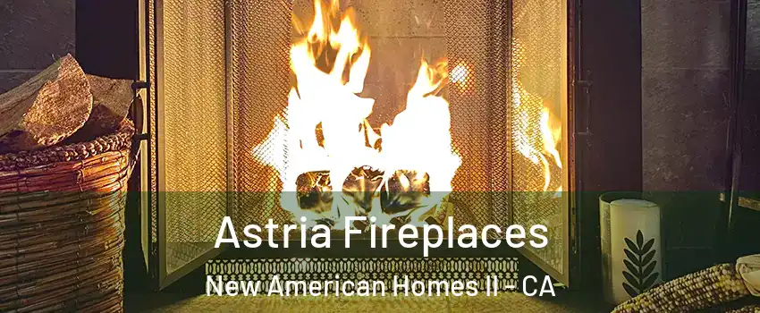 Astria Fireplaces New American Homes II - CA