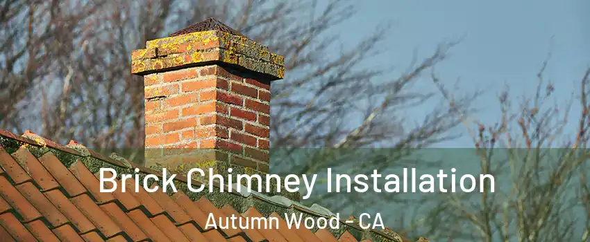 Brick Chimney Installation Autumn Wood - CA