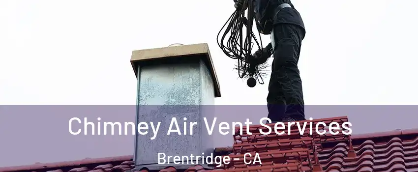 Chimney Air Vent Services Brentridge - CA