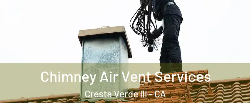 Chimney Air Vent Services Cresta Verde III - CA