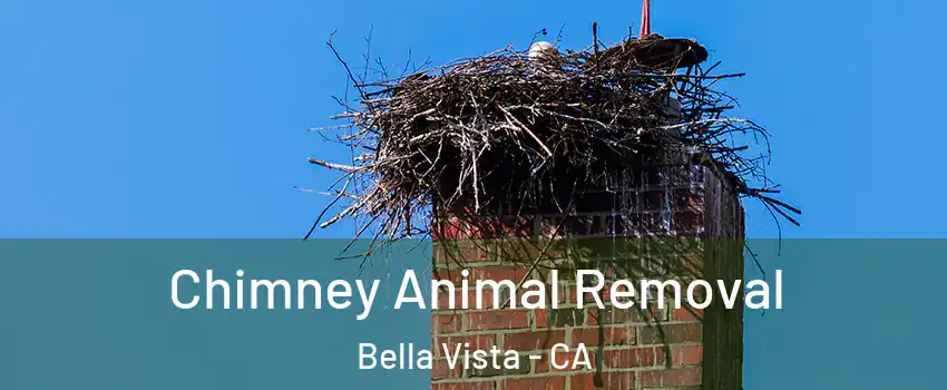 Chimney Animal Removal Bella Vista - CA