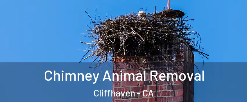 Chimney Animal Removal Cliffhaven - CA