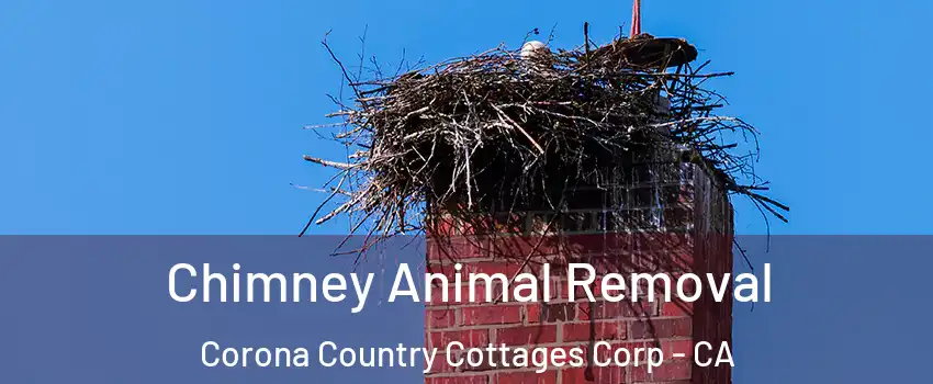Chimney Animal Removal Corona Country Cottages Corp - CA