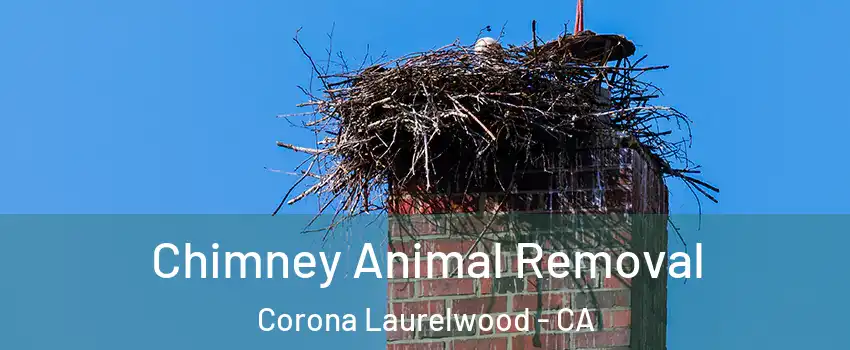 Chimney Animal Removal Corona Laurelwood - CA