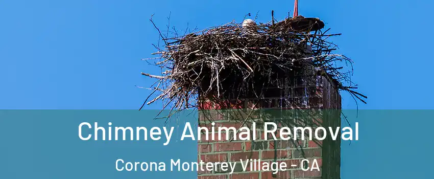 Chimney Animal Removal Corona Monterey Village - CA