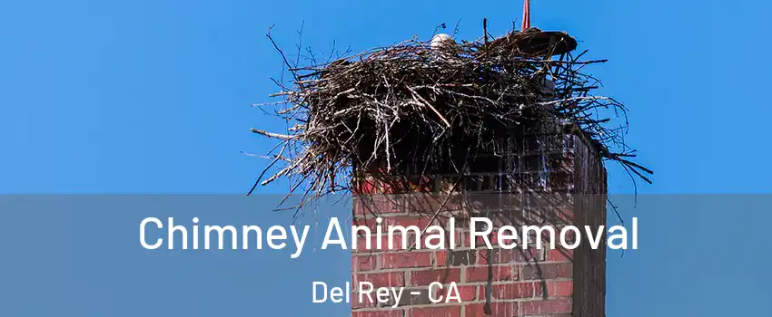 Chimney Animal Removal Del Rey - CA