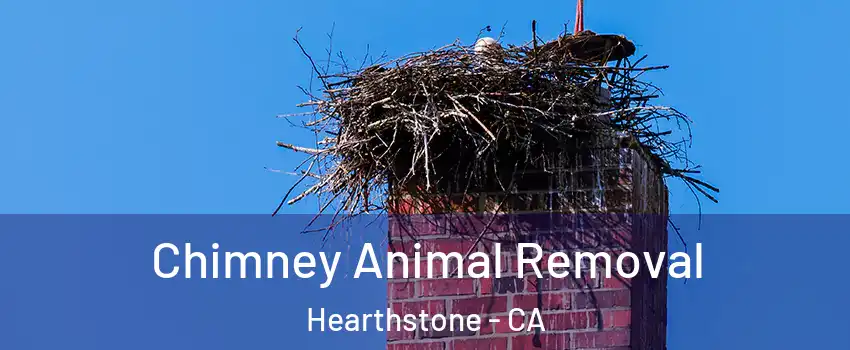 Chimney Animal Removal Hearthstone - CA
