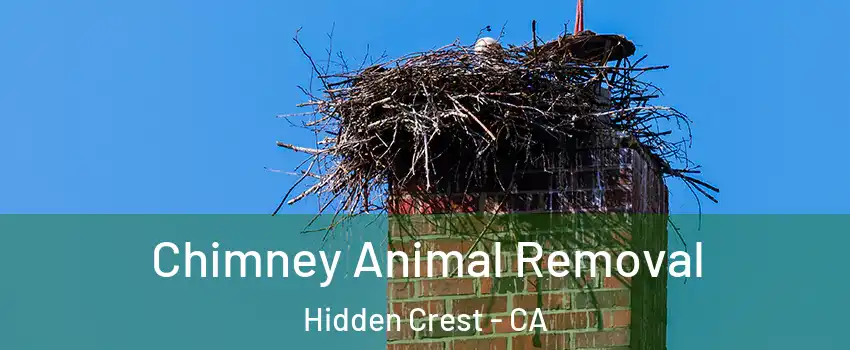 Chimney Animal Removal Hidden Crest - CA