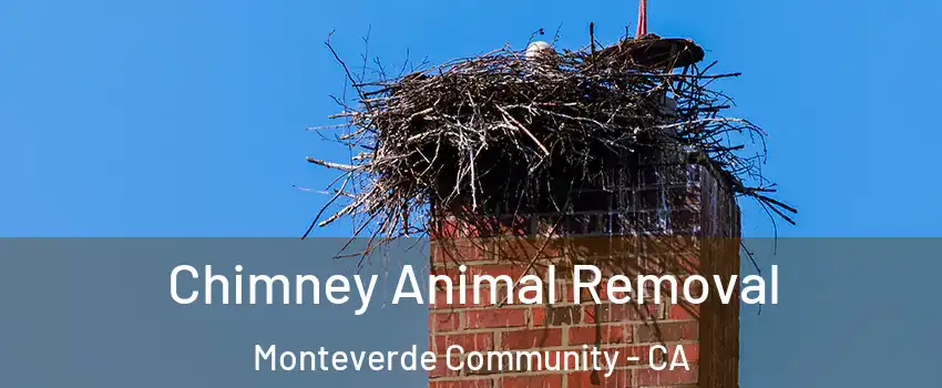 Chimney Animal Removal Monteverde Community - CA
