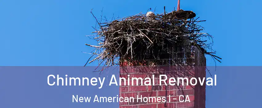 Chimney Animal Removal New American Homes I - CA