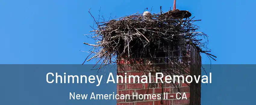 Chimney Animal Removal New American Homes II - CA