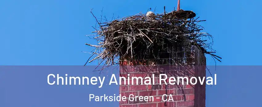 Chimney Animal Removal Parkside Green - CA