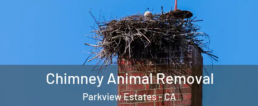 Chimney Animal Removal Parkview Estates - CA