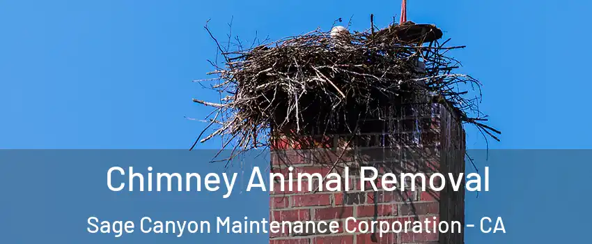 Chimney Animal Removal Sage Canyon Maintenance Corporation - CA