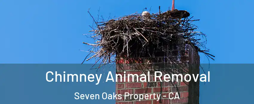 Chimney Animal Removal Seven Oaks Property - CA