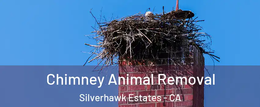 Chimney Animal Removal Silverhawk Estates - CA