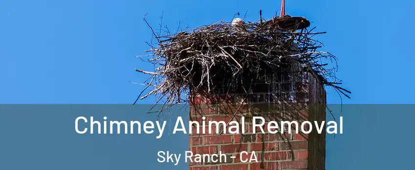 Chimney Animal Removal Sky Ranch - CA