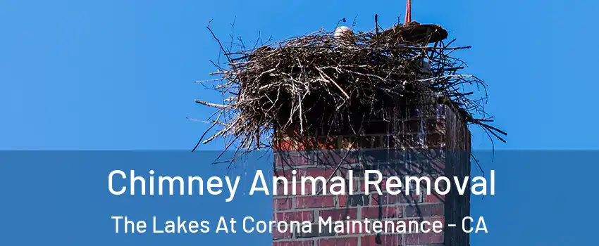 Chimney Animal Removal The Lakes At Corona Maintenance - CA