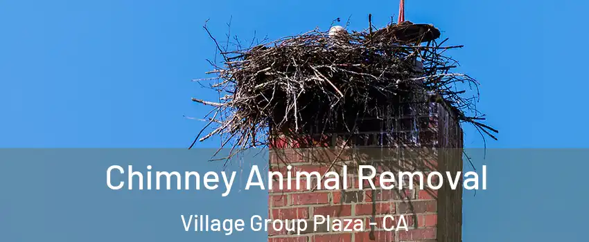 Chimney Animal Removal Village Group Plaza - CA