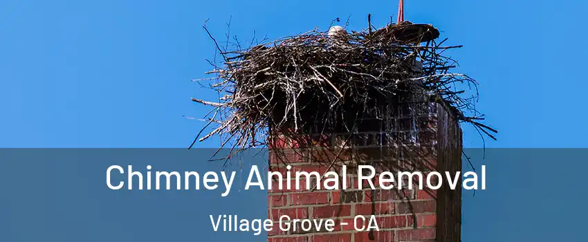 Chimney Animal Removal Village Grove - CA