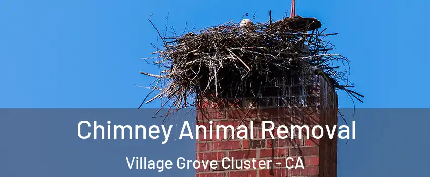 Chimney Animal Removal Village Grove Cluster - CA