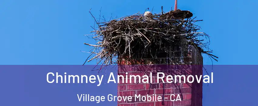 Chimney Animal Removal Village Grove Mobile - CA