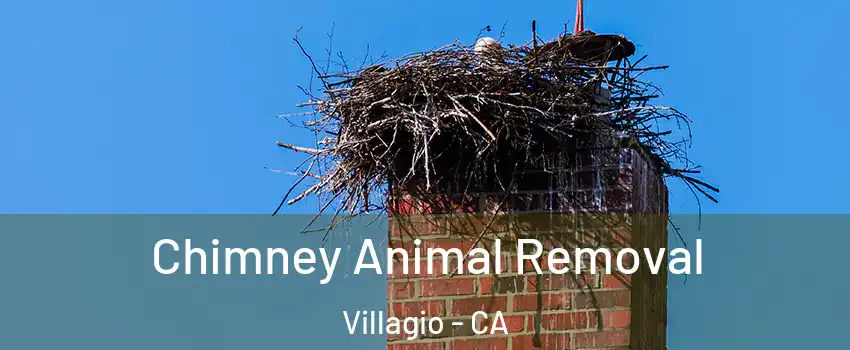 Chimney Animal Removal Villagio - CA