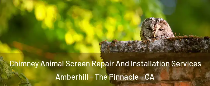 Chimney Animal Screen Repair And Installation Services Amberhill - The Pinnacle - CA