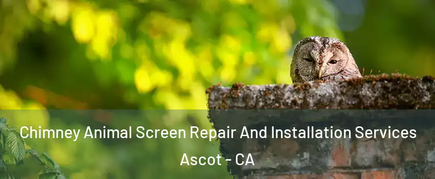 Chimney Animal Screen Repair And Installation Services Ascot - CA