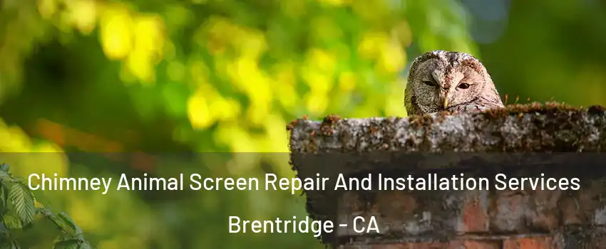 Chimney Animal Screen Repair And Installation Services Brentridge - CA