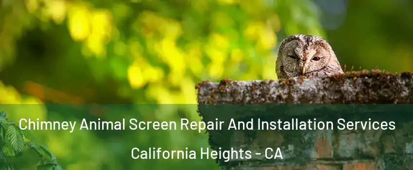 Chimney Animal Screen Repair And Installation Services California Heights - CA