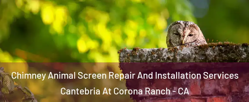 Chimney Animal Screen Repair And Installation Services Cantebria At Corona Ranch - CA