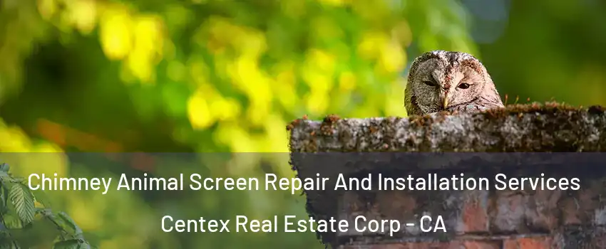 Chimney Animal Screen Repair And Installation Services Centex Real Estate Corp - CA