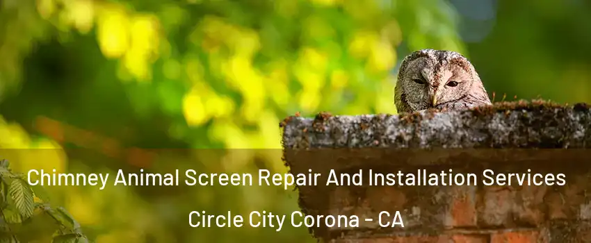 Chimney Animal Screen Repair And Installation Services Circle City Corona - CA