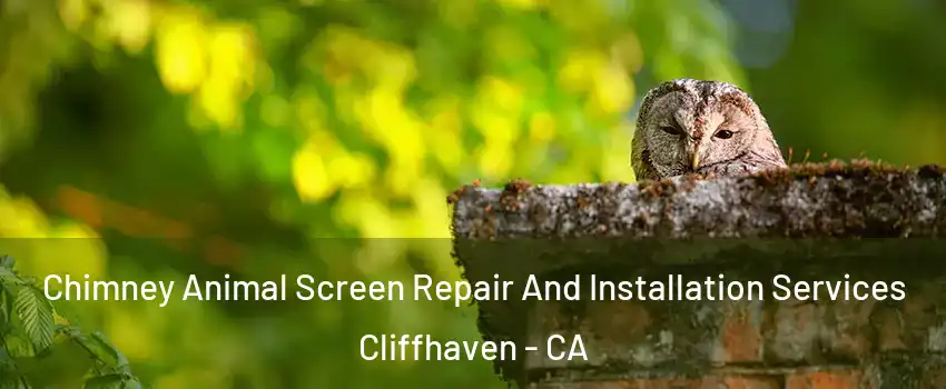 Chimney Animal Screen Repair And Installation Services Cliffhaven - CA