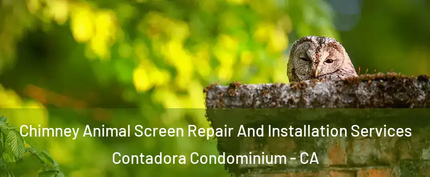 Chimney Animal Screen Repair And Installation Services Contadora Condominium - CA