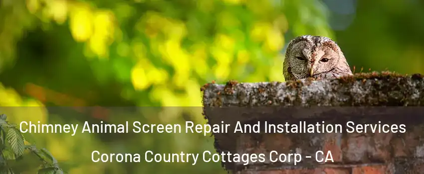 Chimney Animal Screen Repair And Installation Services Corona Country Cottages Corp - CA