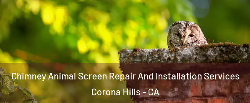 Chimney Animal Screen Repair And Installation Services Corona Hills - CA