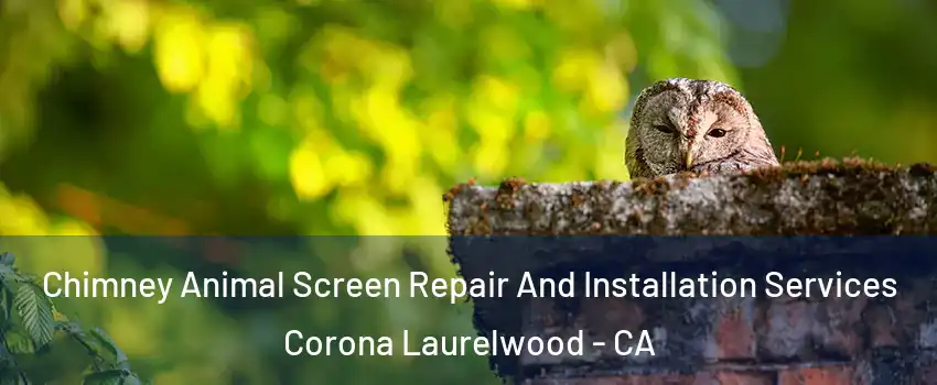Chimney Animal Screen Repair And Installation Services Corona Laurelwood - CA