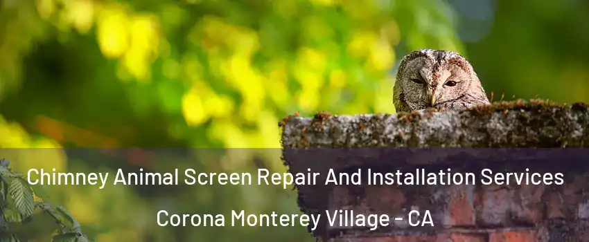 Chimney Animal Screen Repair And Installation Services Corona Monterey Village - CA