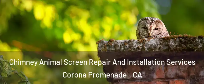 Chimney Animal Screen Repair And Installation Services Corona Promenade - CA