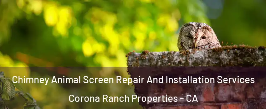 Chimney Animal Screen Repair And Installation Services Corona Ranch Properties - CA