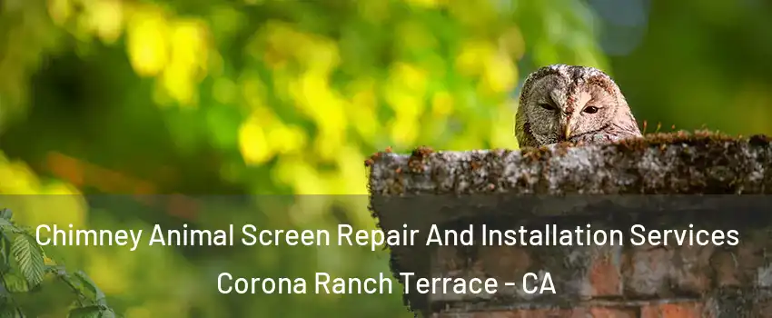 Chimney Animal Screen Repair And Installation Services Corona Ranch Terrace - CA