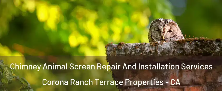 Chimney Animal Screen Repair And Installation Services Corona Ranch Terrace Properties - CA