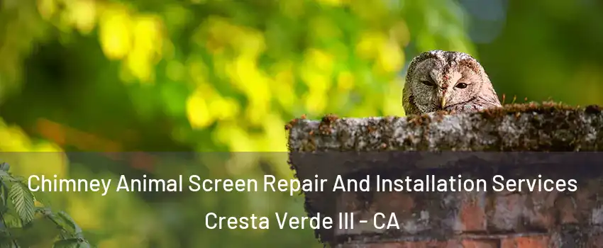 Chimney Animal Screen Repair And Installation Services Cresta Verde III - CA