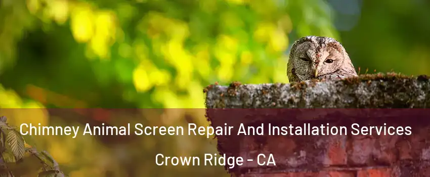 Chimney Animal Screen Repair And Installation Services Crown Ridge - CA