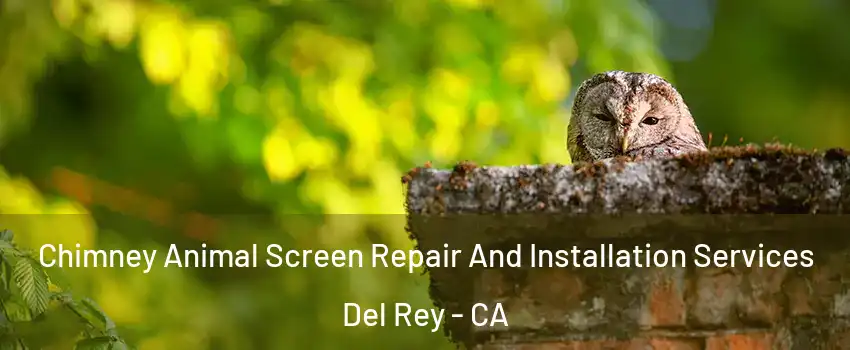 Chimney Animal Screen Repair And Installation Services Del Rey - CA