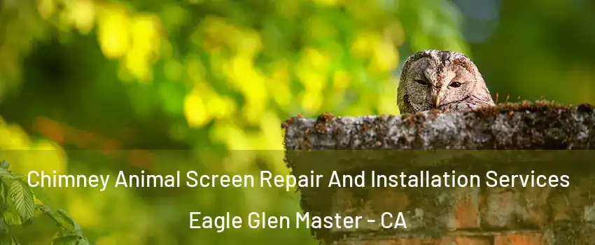 Chimney Animal Screen Repair And Installation Services Eagle Glen Master - CA